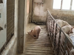 看看人家公司，这才叫企业文化