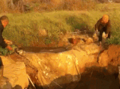 这到底是冷还是热?